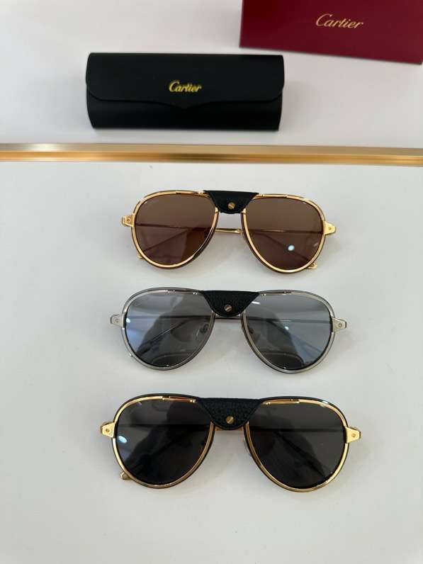 Picture of Cartier Sunglasses _SKUfw55481539fw